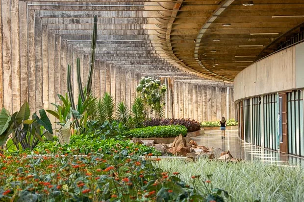 A long, curved board-marked concrete canopy over a dense garden of cacti and flowering plants, a small figure walking along the path.