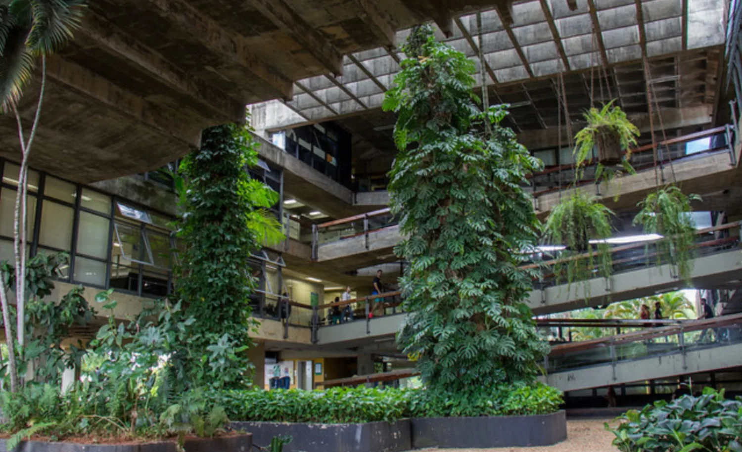 A multi-level concrete atrium at the University of Brasília, open walkways around a courtyard with tall columns wrapped in climbing plants and hanging ferns.